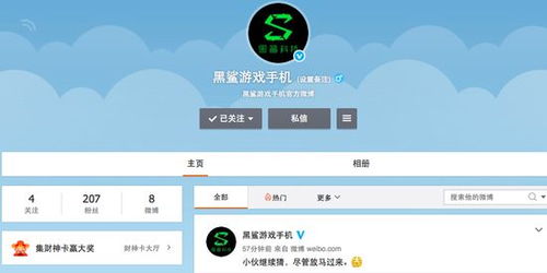 小米戰(zhàn)略投資黑鯊游戲手機(jī) 游戲手機(jī)市場(chǎng)的新篇章與信息系統(tǒng)集成服務(wù)的前景